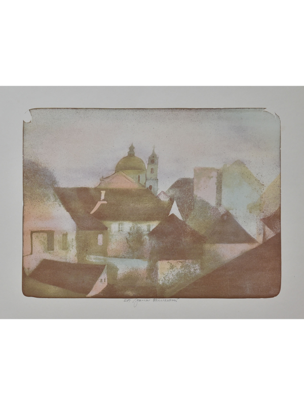Pražské střechy I.